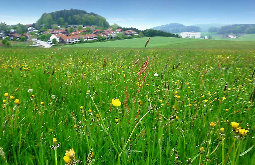 Ferienwohnung Gerda Zandt Zewnętrze zdjęcie